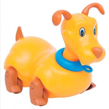 dog1